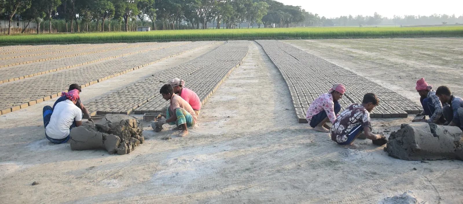 Long rows of moulded clay bricks drying in an open brick field